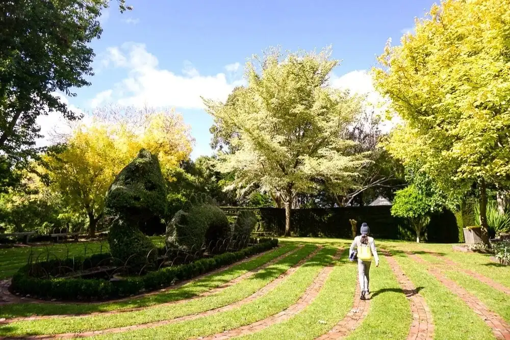 enchanted-maze-garden-arthurs-seat-11
