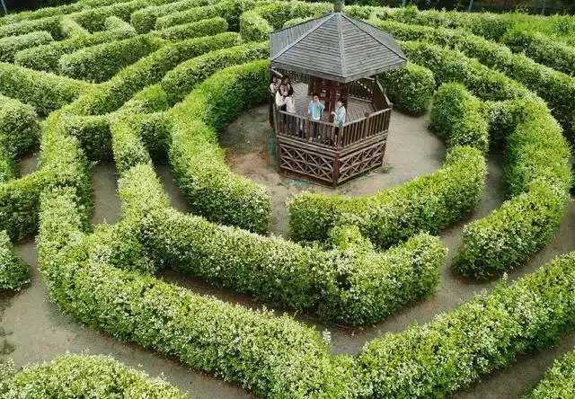 longhu-mountain-maze-6