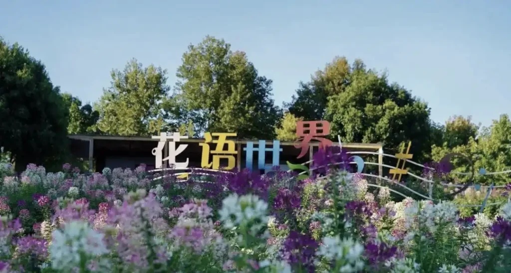 longhu-mountain-maze-7