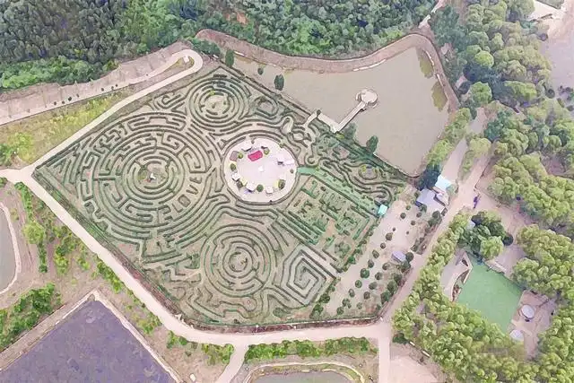longmu-villa-plant-maze-1