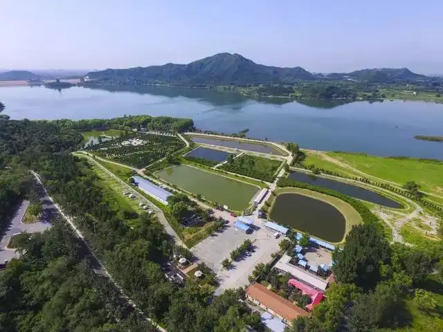 longmu-villa-plant-maze-2