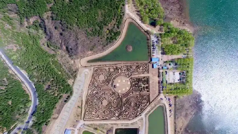 longmu-villa-plant-maze-3