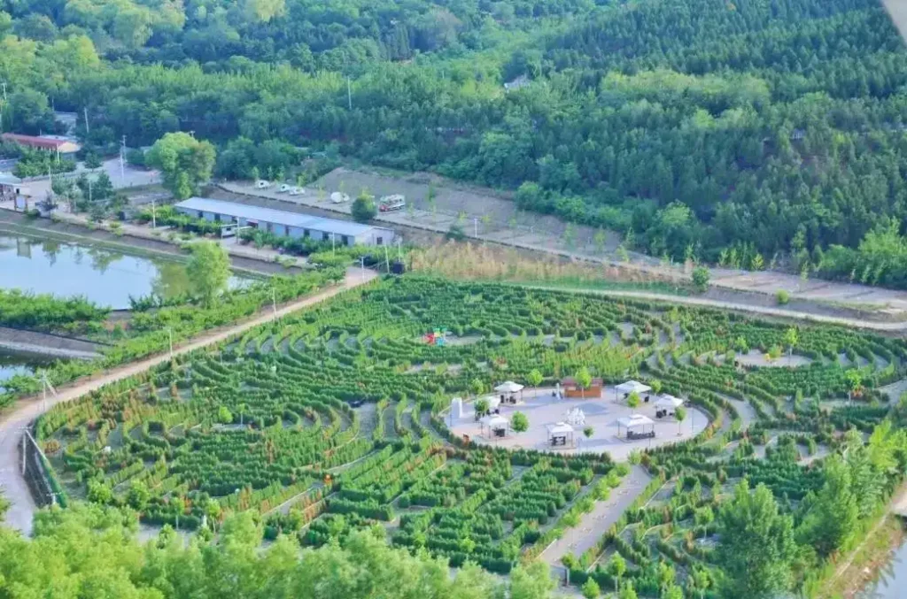longmu-villa-plant-maze-4