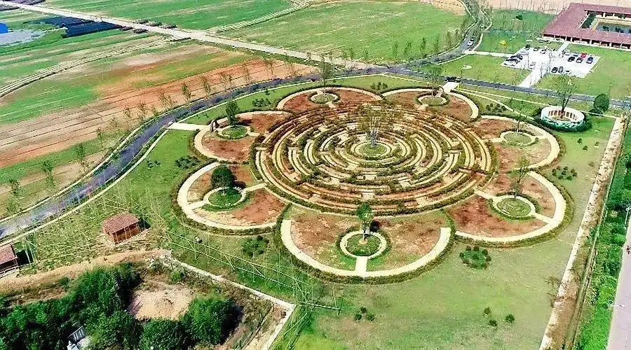 maple-forest-flower-sea-maze-1