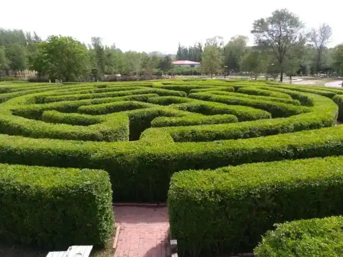 maze-at-natural-park-of-crescent-island-1