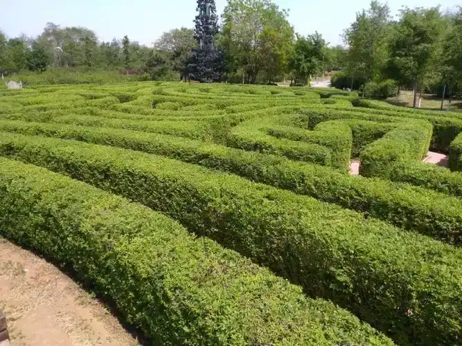 maze-at-natural-park-of-crescent-island-3