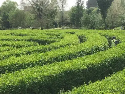 maze-at-natural-park-of-crescent-island-4