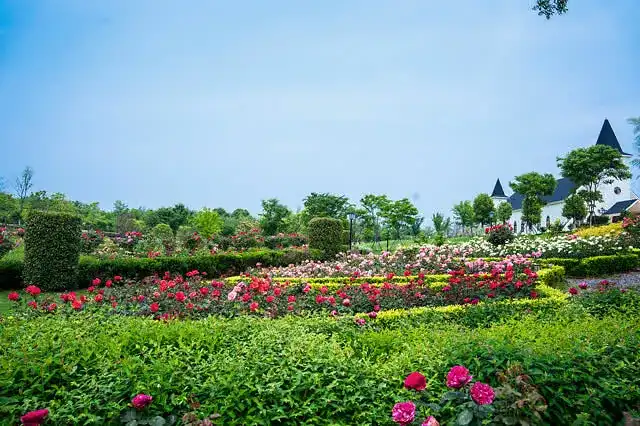 miyuewan-heart-shaped-mazes-6