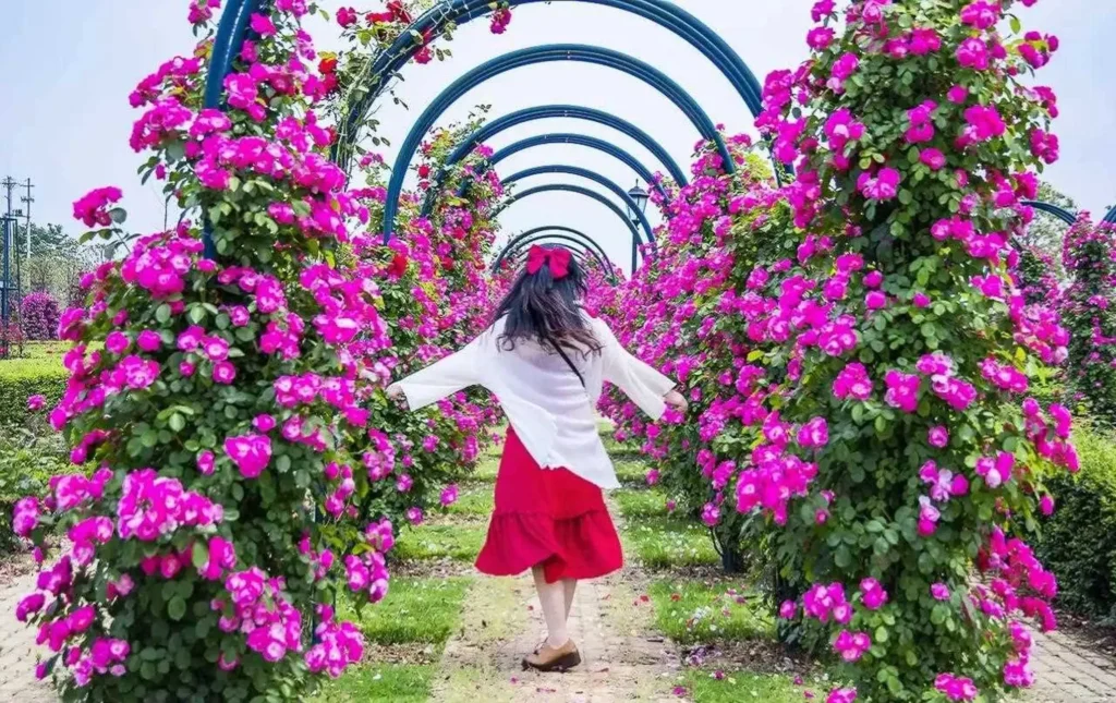 miyuewan-heart-shaped-mazes-7