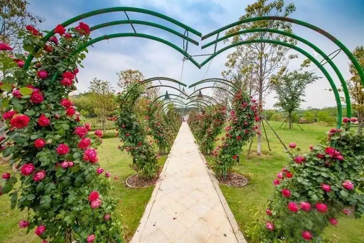miyuewan-heart-shaped-mazes-8