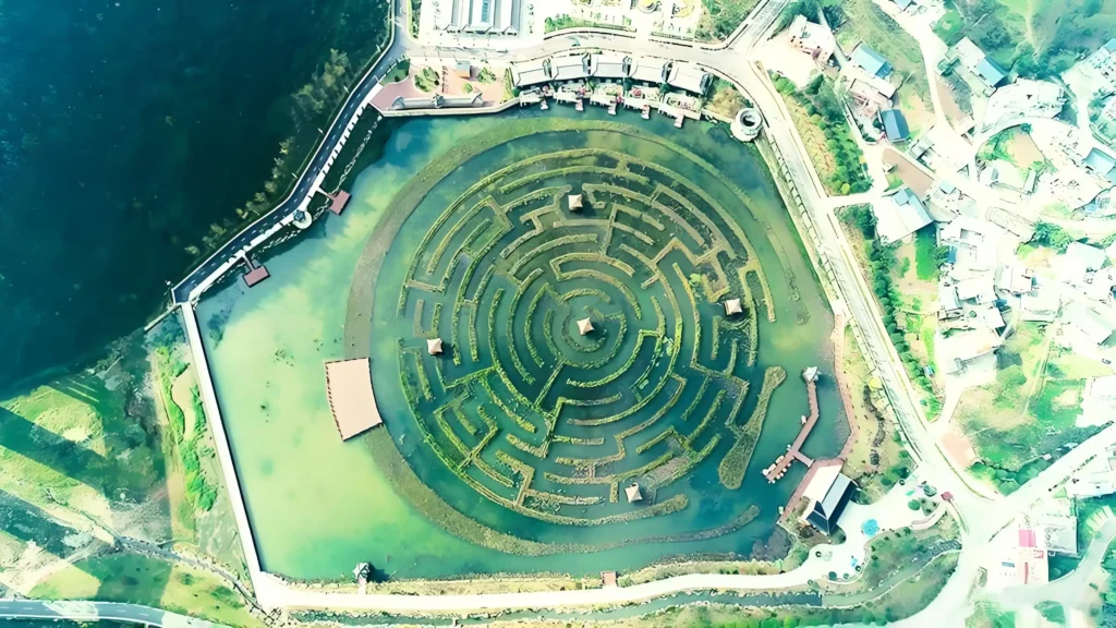 nine-peaks-lotus-pond-maze-3