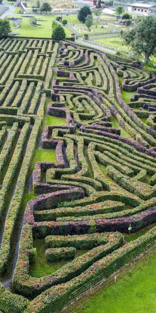 noahs-ark-zoo-maze-1
