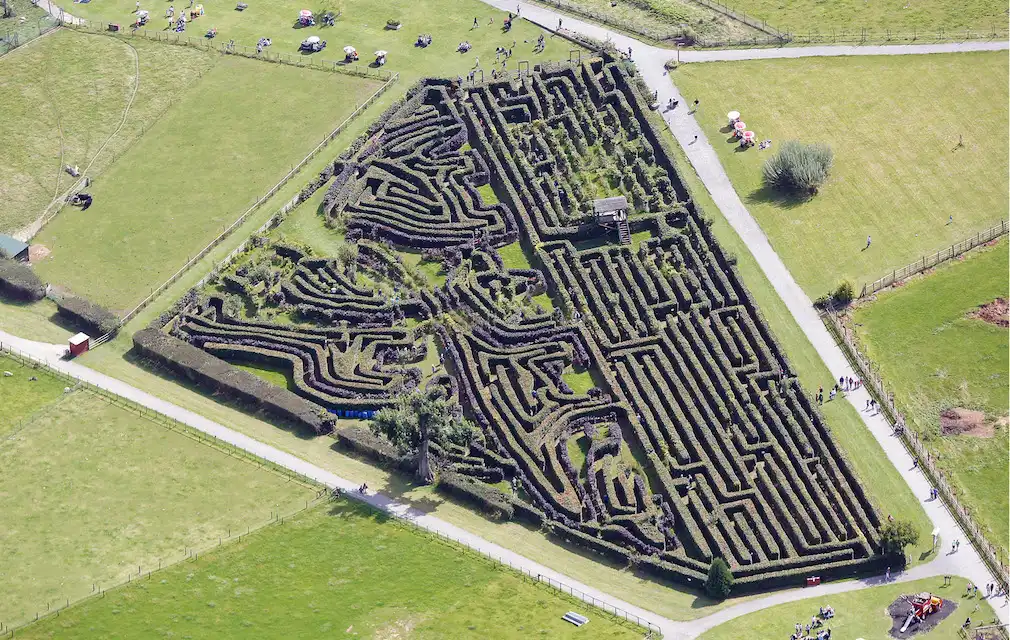 noahs-ark-zoo-maze-2