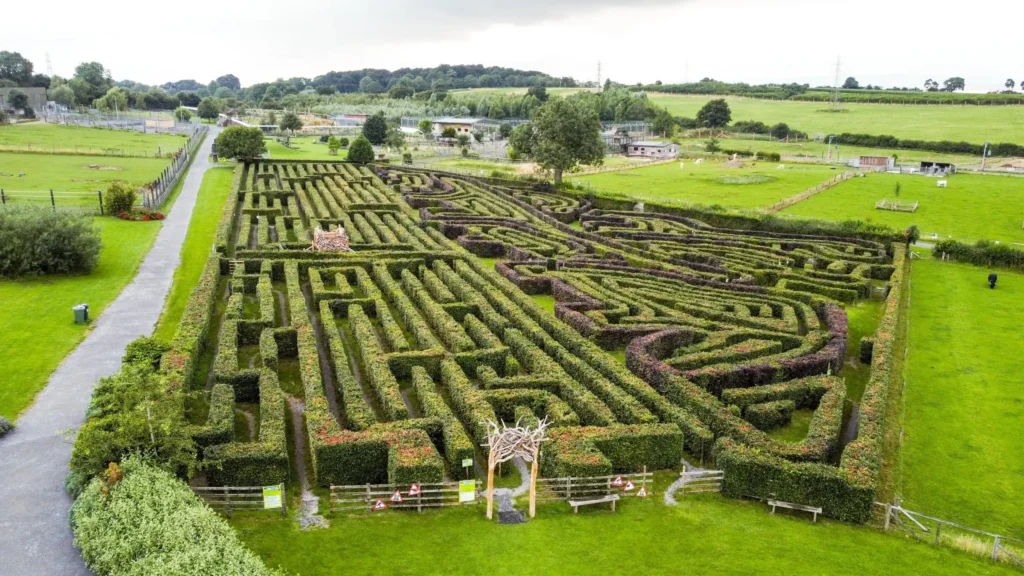 noahs-ark-zoo-maze-3