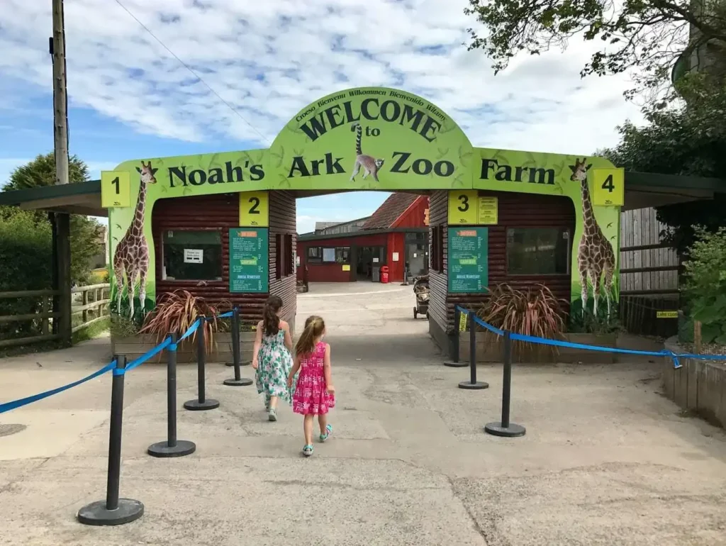 noahs-ark-zoo-maze-6