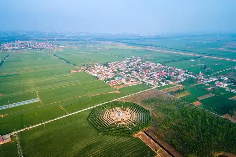 rose-maze-in-baixiang-7