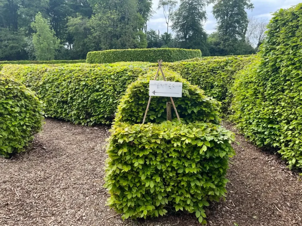 the-saxon-maze-5