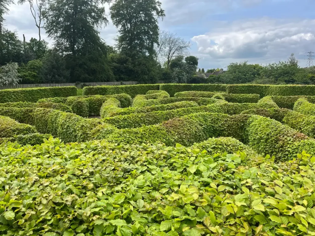 the-saxon-maze-6