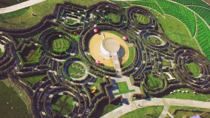 xianghu-plant-maze-4
