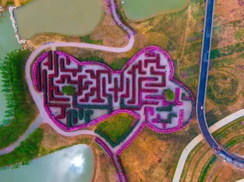 yiwu-rose-maze-1