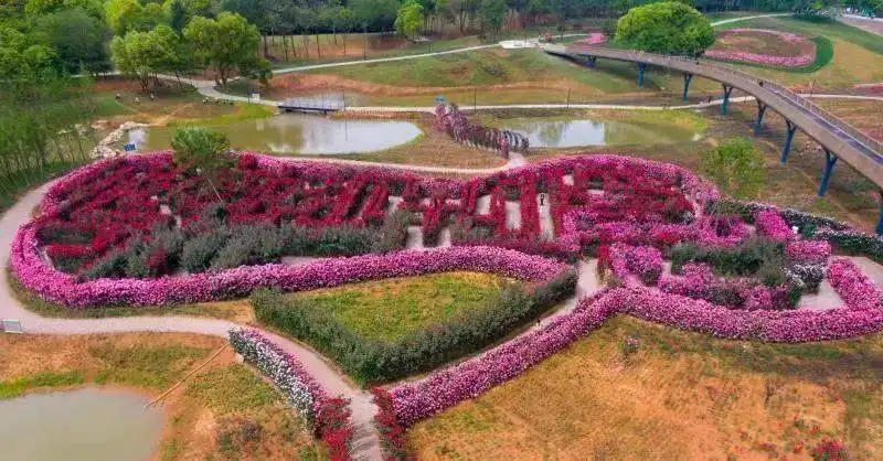yiwu-rose-maze-3
