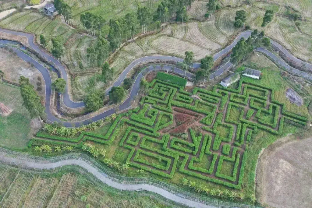 26-degrees-farm-maze-1