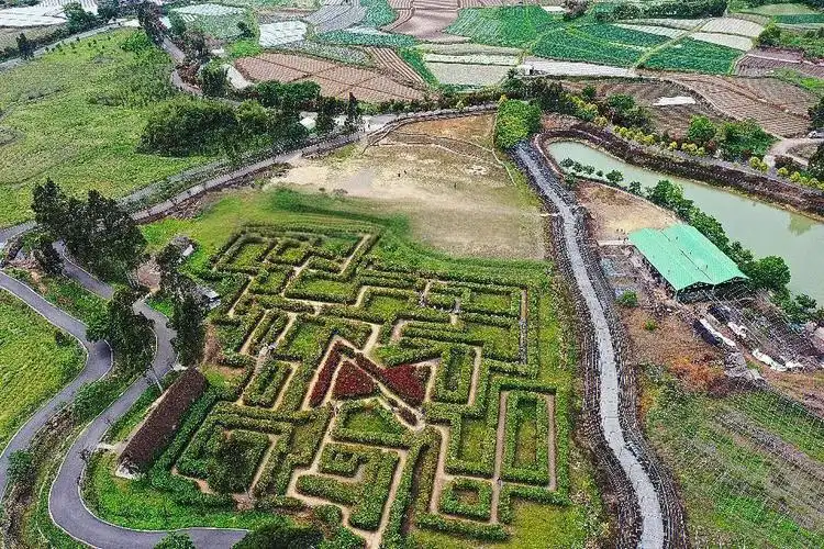 26-degrees-farm-maze-10