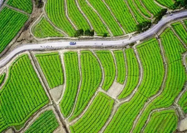 26-degrees-farm-maze-7