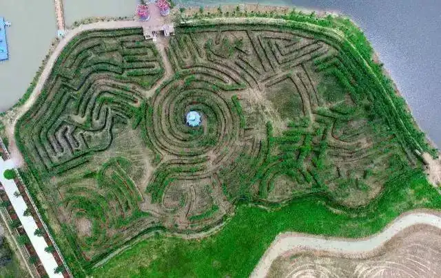 ainong-lake-bamboo-maze-4