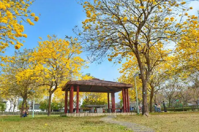 buzi-park-maze-7