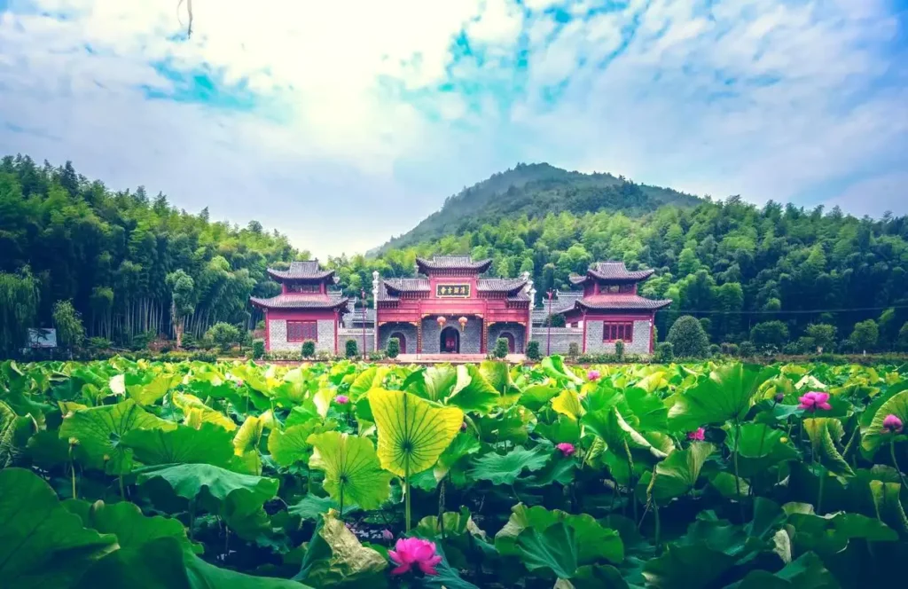 dongxiang-maze-2