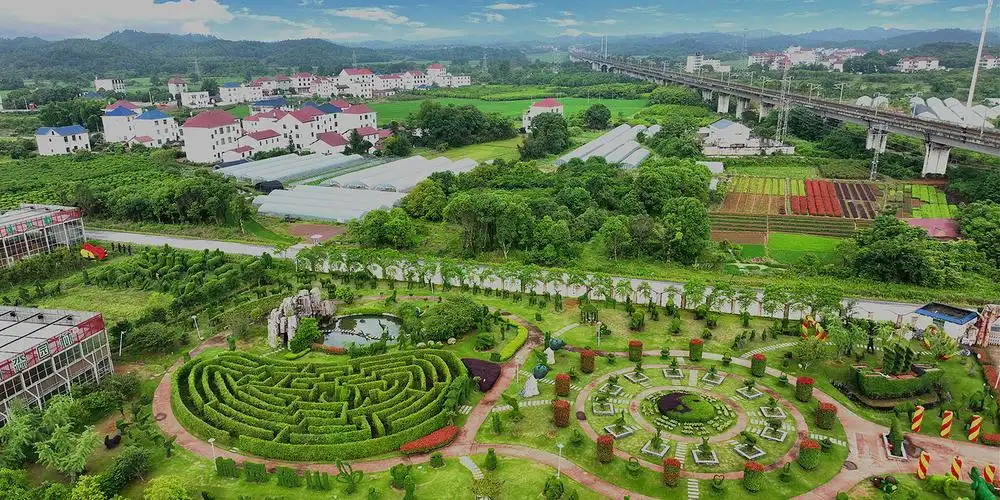 dongxiang-maze-4