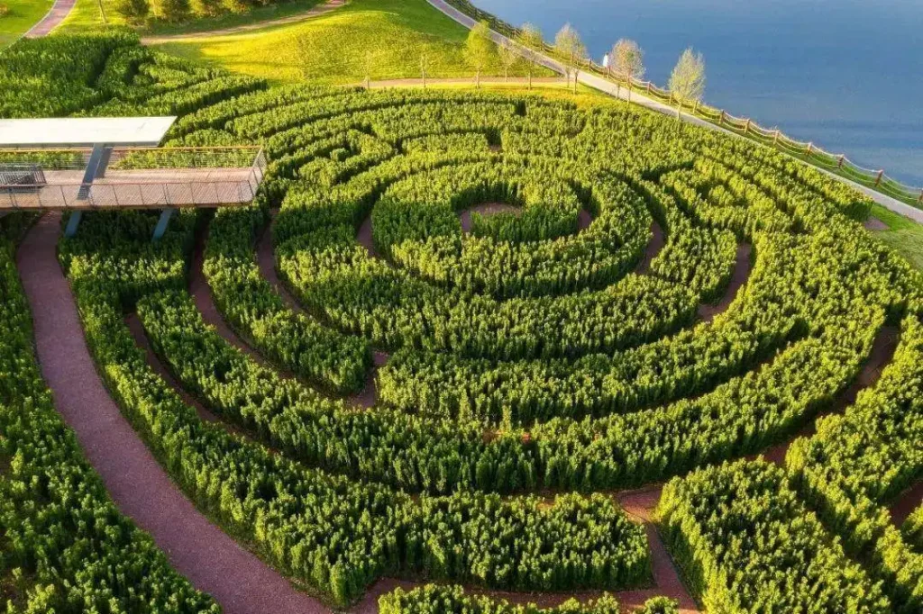fenghe-wetland-park-maze-2