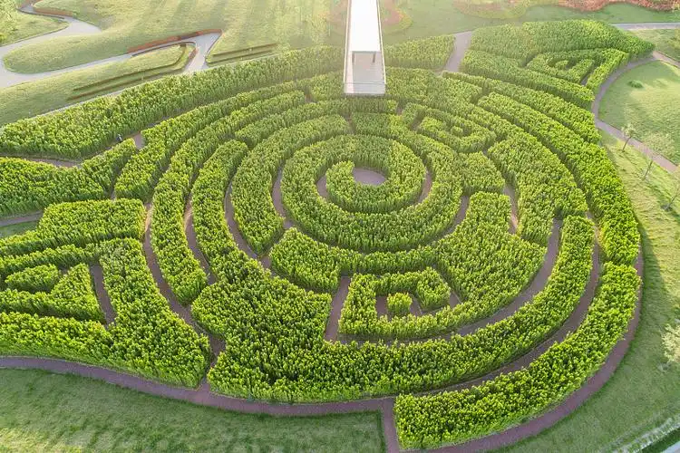 fenghe-wetland-park-maze-5