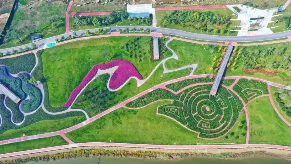 fenghe-wetland-park-maze-9