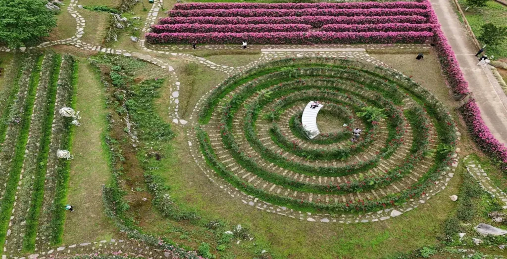 flowery-river-maze-10
