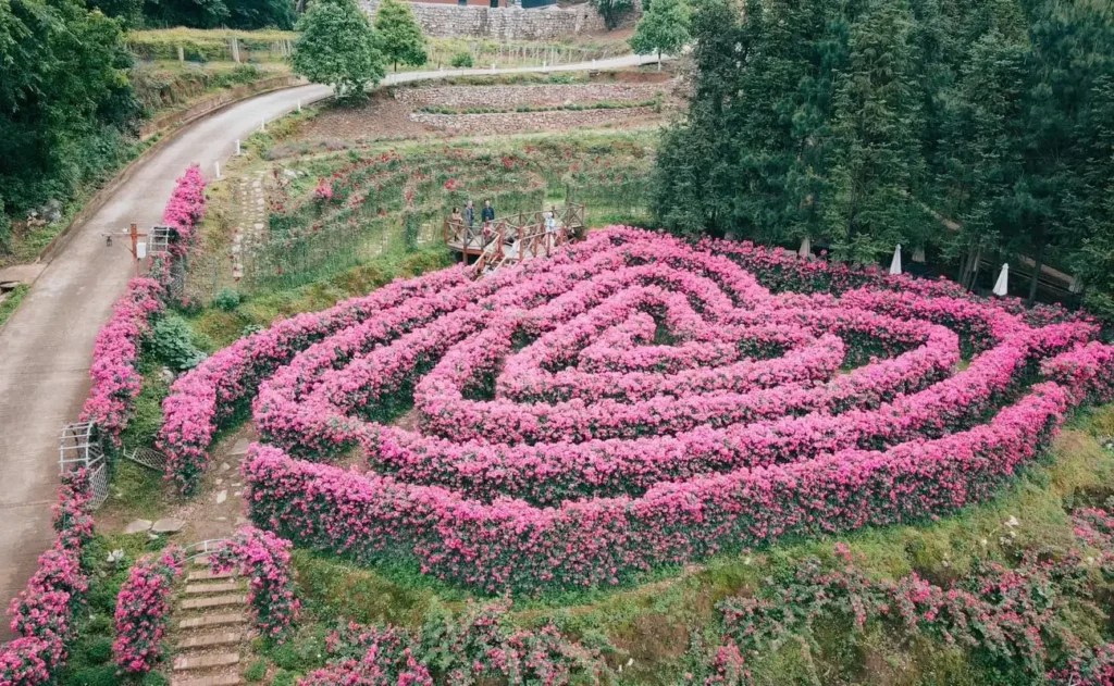 flowery-river-maze-4