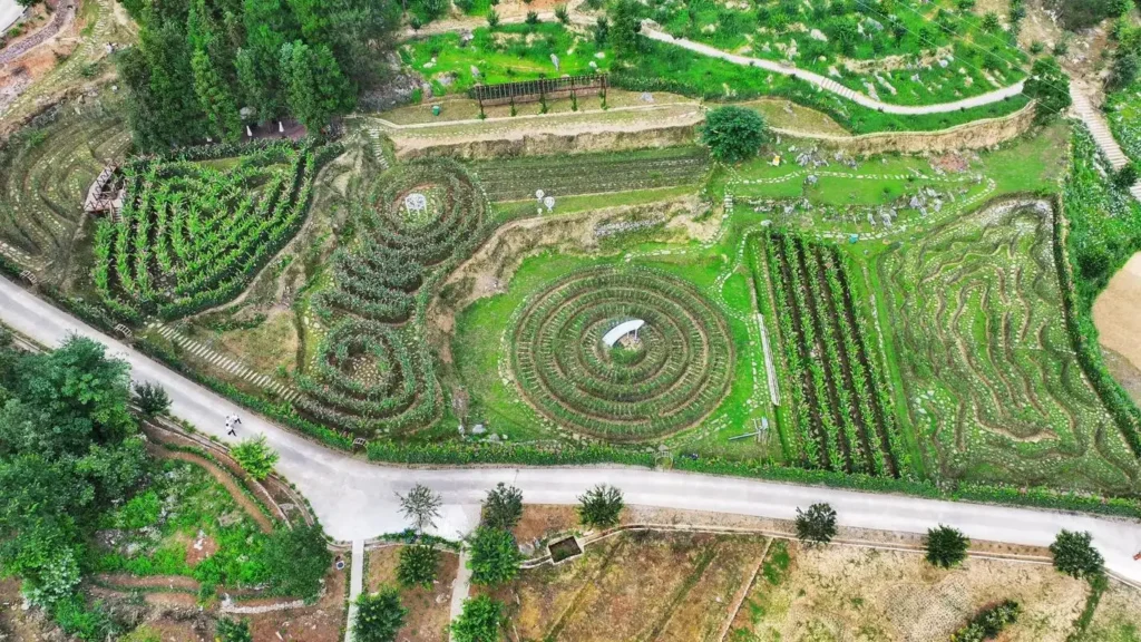 flowery-river-maze-5