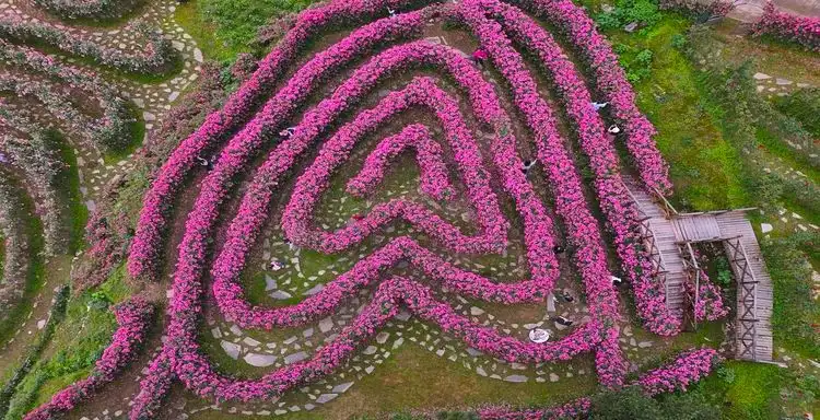 flowery-river-maze-6