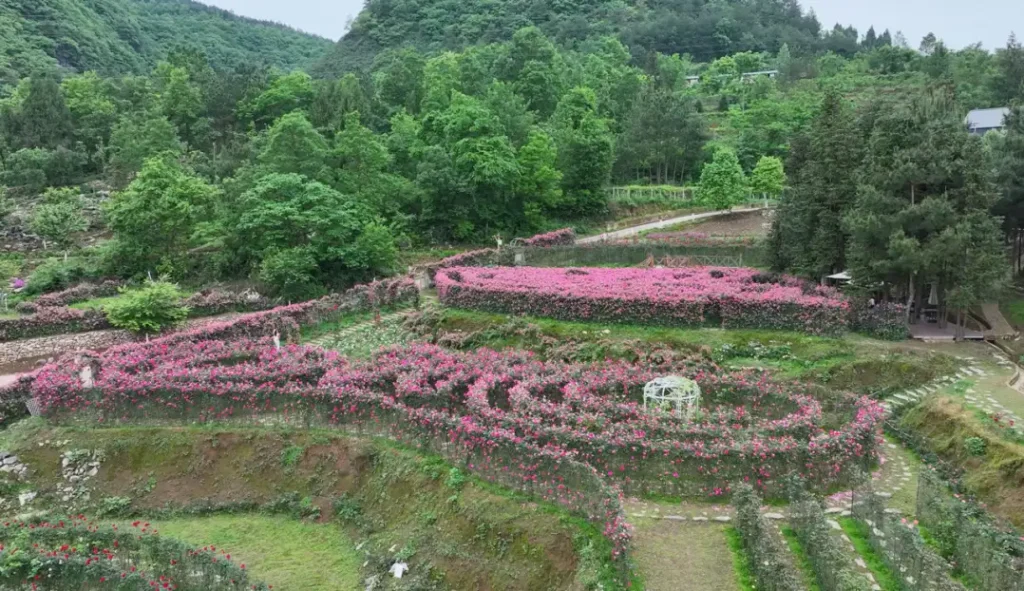 flowery-river-maze-7