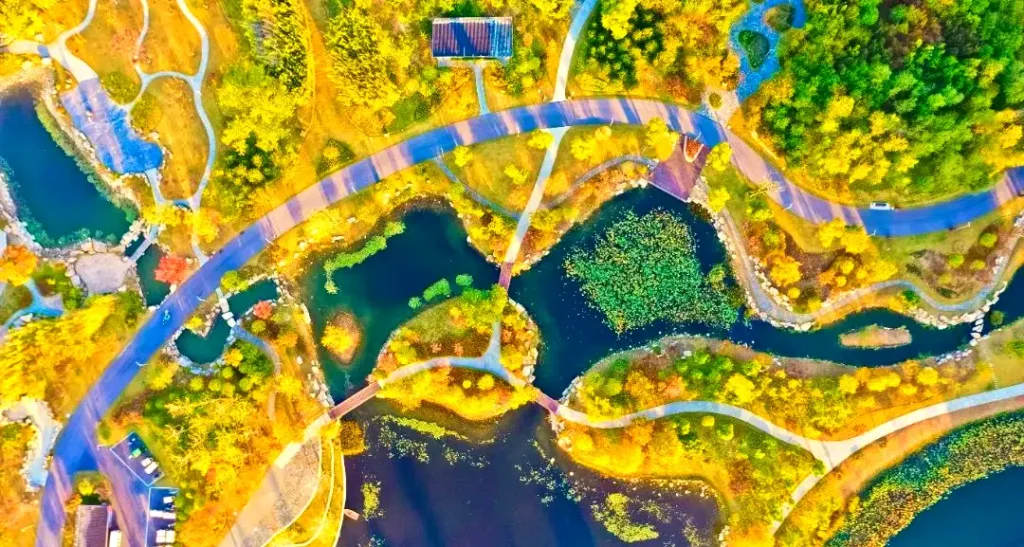 fuyang-botanical-garden-maze-5
