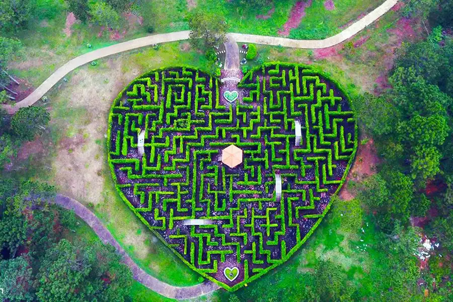 heart-maze-in-valley-of-love-2