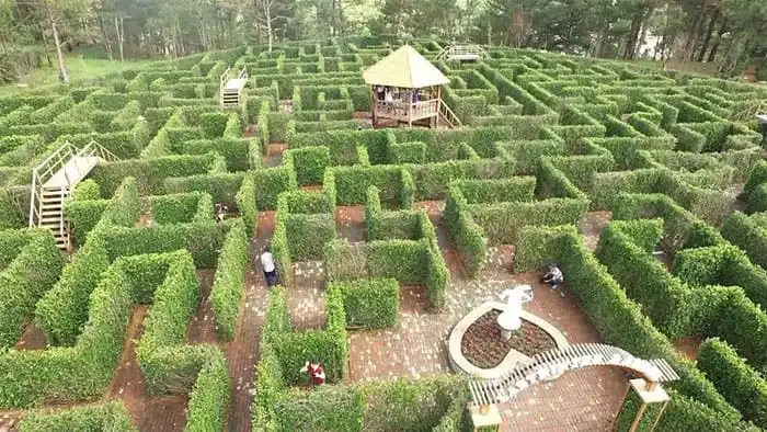 heart-maze-in-valley-of-love-7