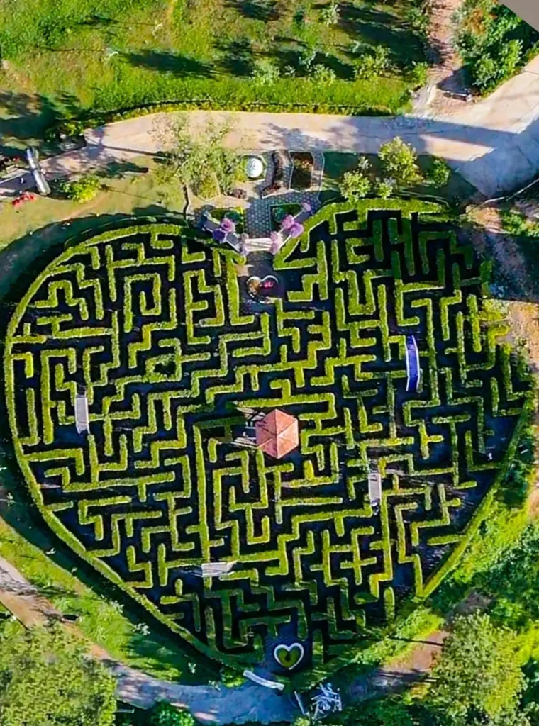 heart-maze-in-valley-of-love-8