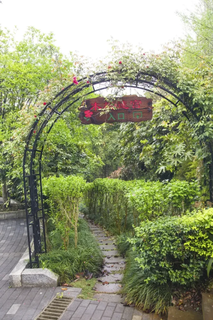 hibiscus-maze-at-nanshan-park-2