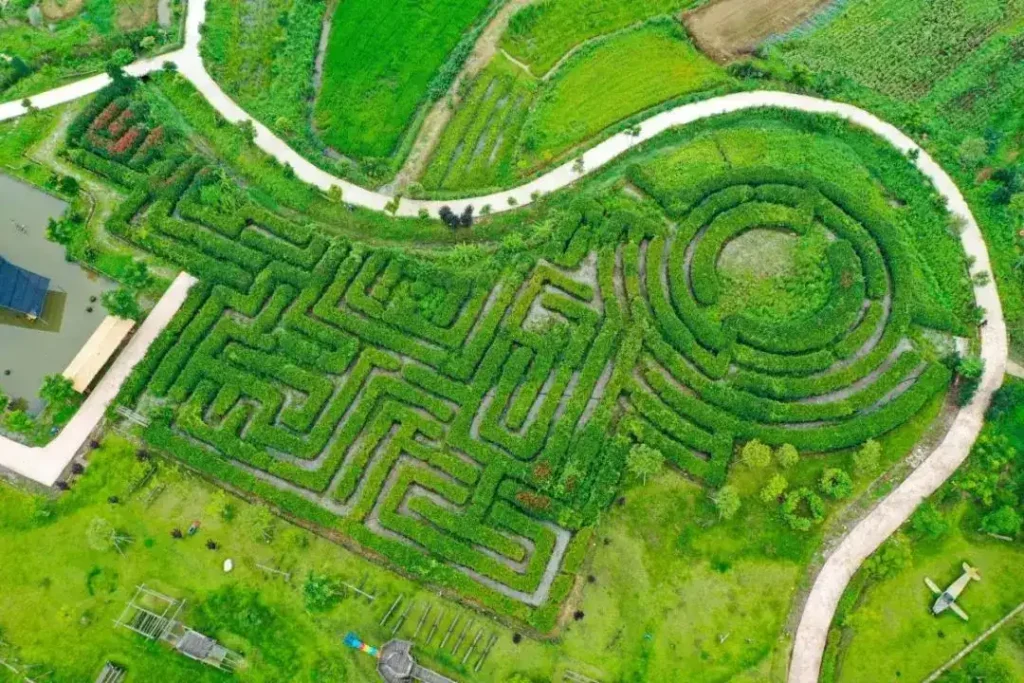 huiyuan-nonggu-plant-maze-1
