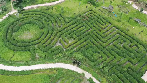 huiyuan-nonggu-plant-maze-10