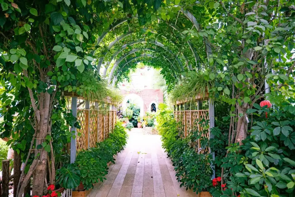 huiyuan-nonggu-plant-maze-3