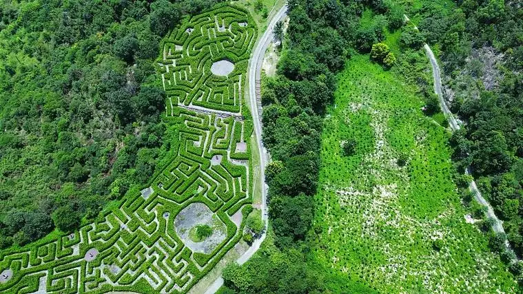 jiulonghu-maze-1
