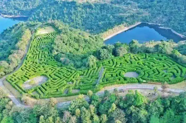 jiulonghu-maze-11